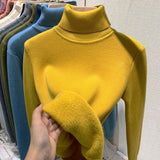 Milani Damen Rollkragenpullover – Bequemer, doppelt gefütterter Sweatshirt im lässigen Winterstil